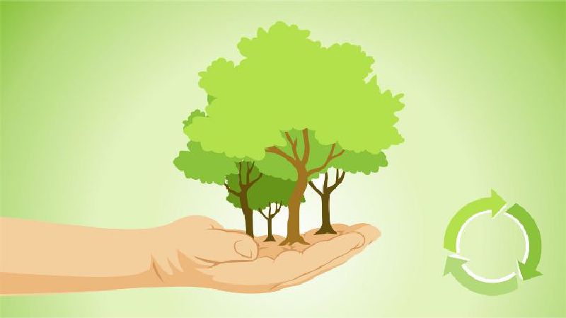 5 Tips Ramah Lingkungan dalam Kehidupan Sehari-hari